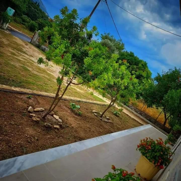 Calma Studios Párga Zewnętrze zdjęcie